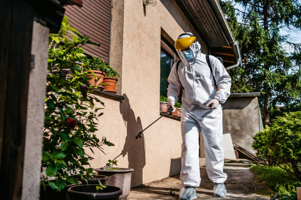 Best Pest Inspection Near Me  in Waterbury, CT