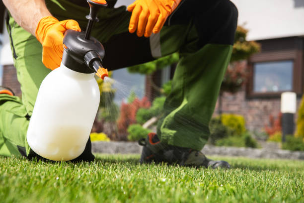 Best Pest Control Near Me  in Waterbury, CT